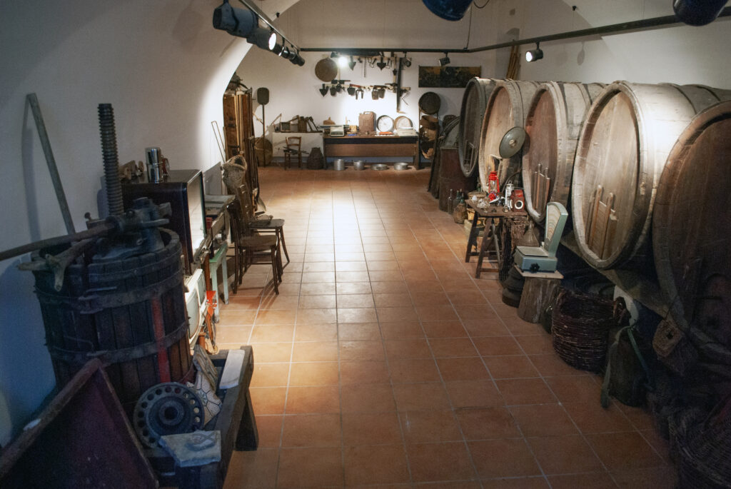 Museo Antropologico di Monteroduni: esposizione oggetti antichi